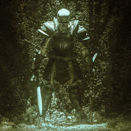Skeleton Warrior - Mythic Legions - ToyPhoto.Club